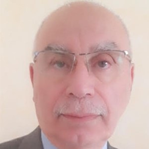 محمد الربيعي: تحديات وفرص التحول الرقمي والذكاء الاصطناعي في العراق